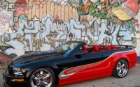 /album/galleria-fotografica/mustang-yeah-jpg/